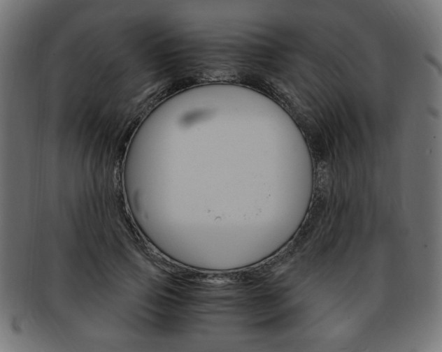 X0000094080741200710190917