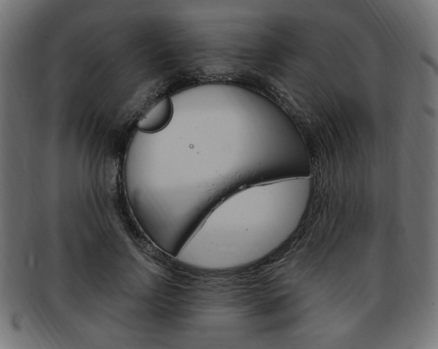 X0000094080742200710190917