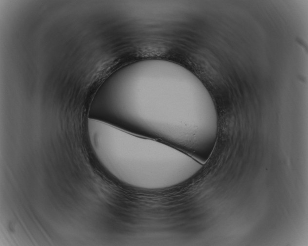 X0000094080743200710190917