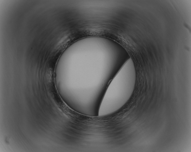 X0000094080744200710190917