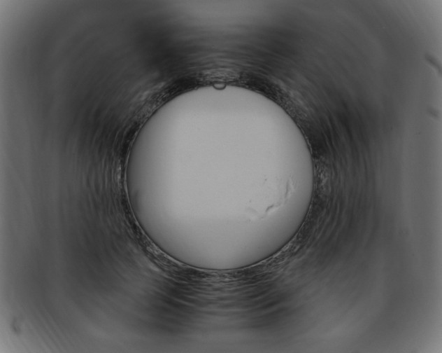 X0000094080745200710190917
