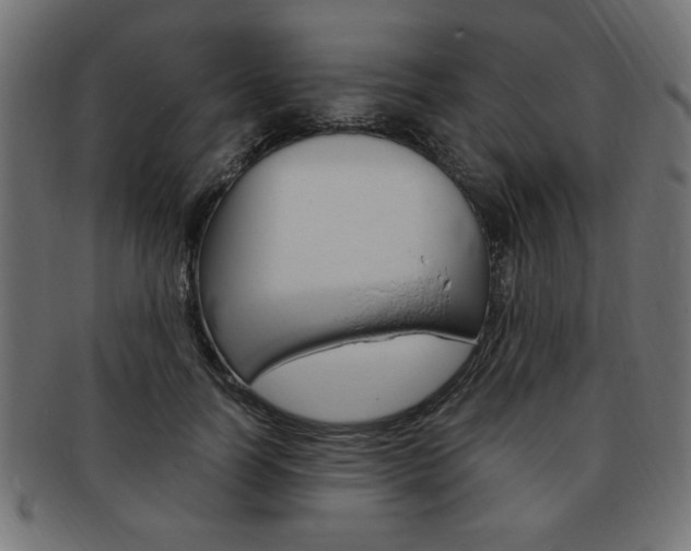 X0000094080746200710190917