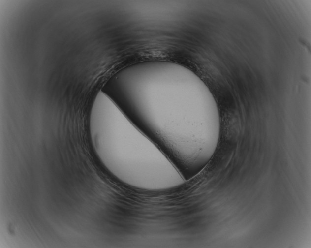 X0000094080747200710190917