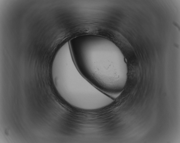 X0000094080748200710190917