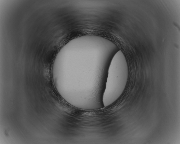 X0000094080749200710190917