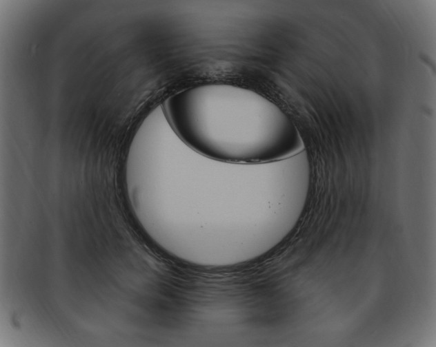 X0000094080750200710190917