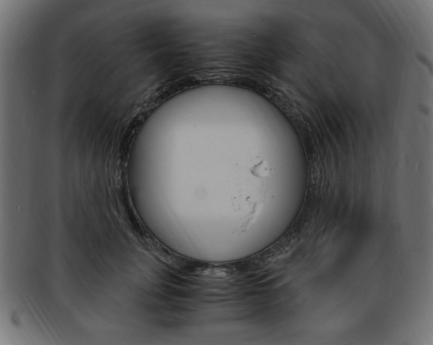 X0000094080751200710190917