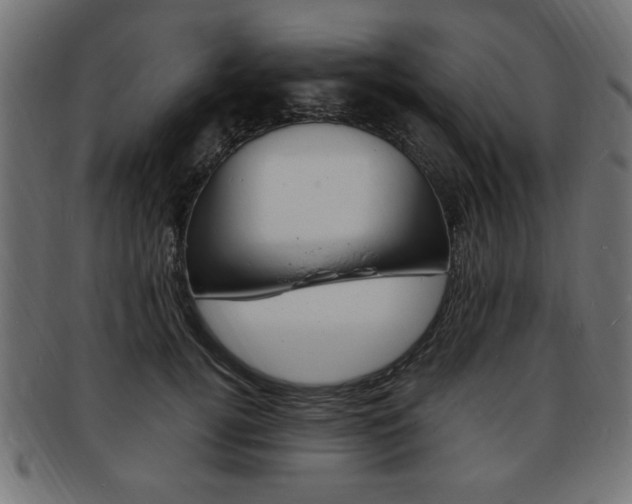 X0000094080752200710190917
