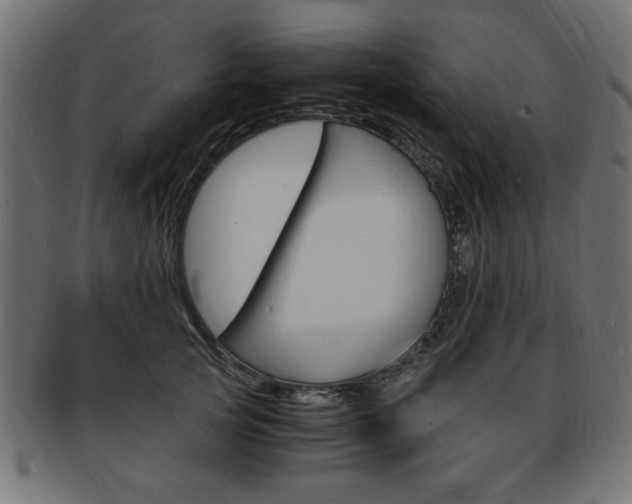 X0000094080753200710190917