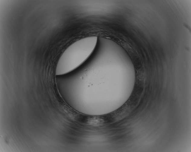 X0000094080754200710190917