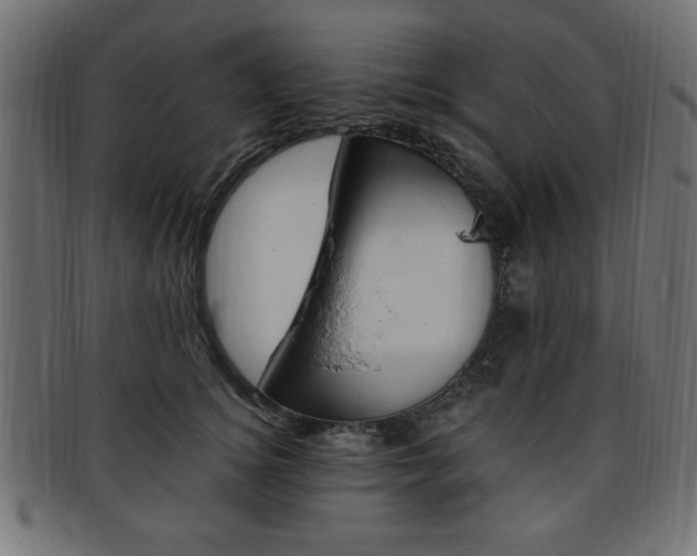 X0000094080756200710190917