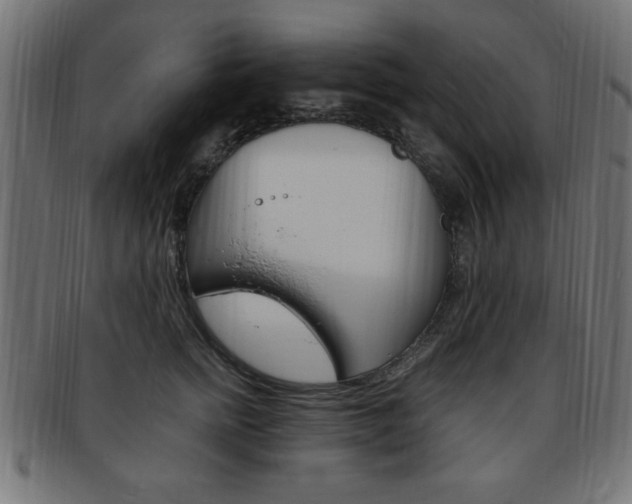 X0000094080758200710190917