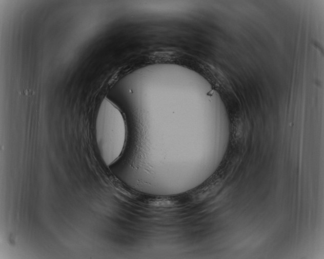 X0000094080759200710190917