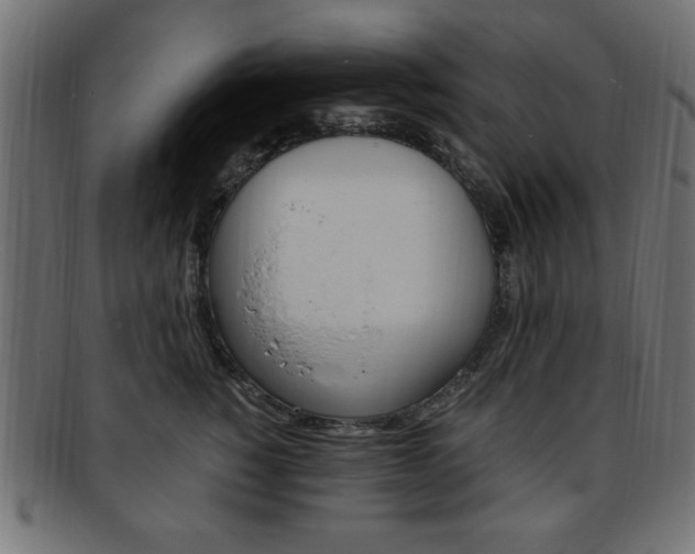X0000094080760200710190917