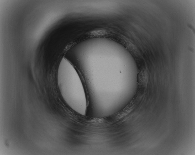 X0000094080762200710190917