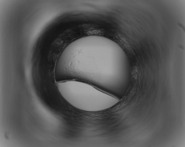 X0000094080763200710190918