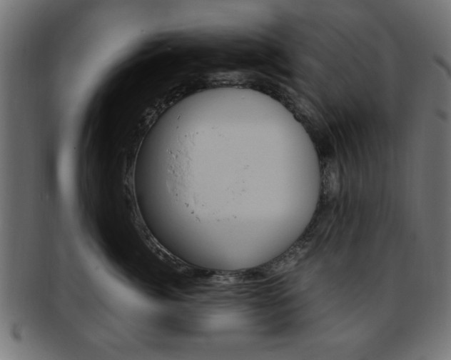 X0000094080764200710190918