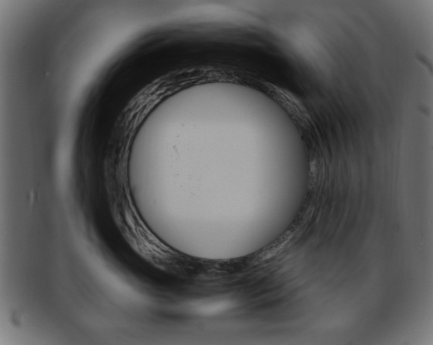 X0000094080765200710190918