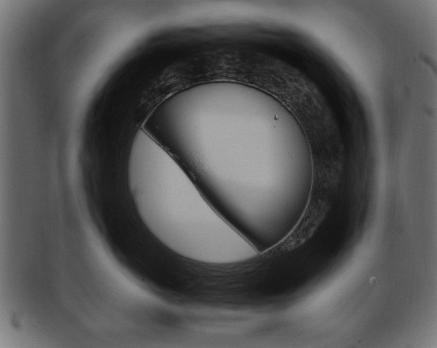 X0000094080766200710190918
