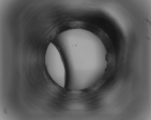 X0000094080767200710190918