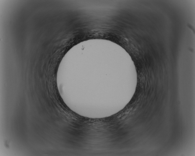 X0000094080769200710190917