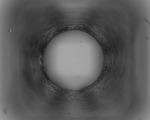 X0000094080770200710190917