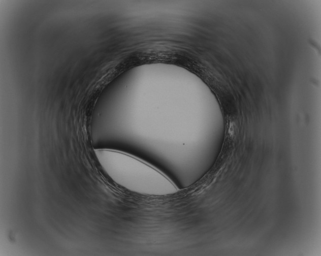 X0000094080771200710190917