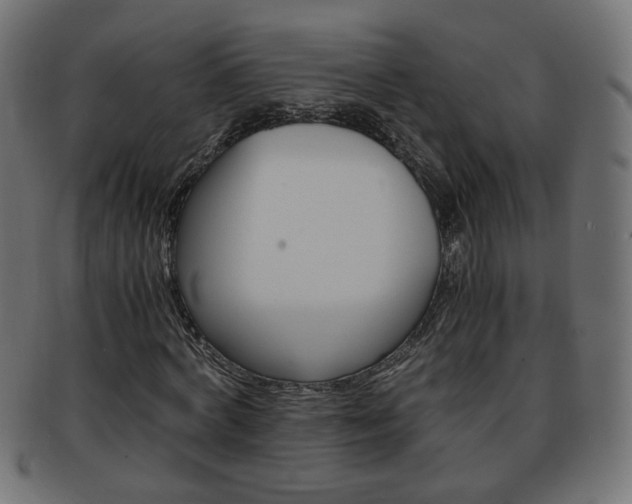 X0000094080772200710190917