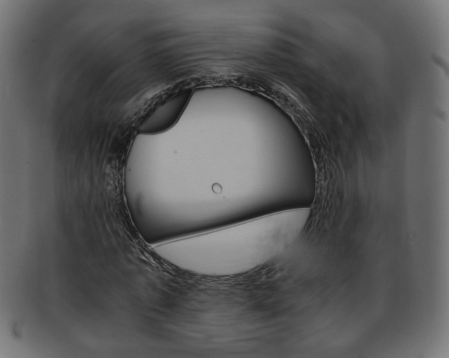 X0000094080773200710190917
