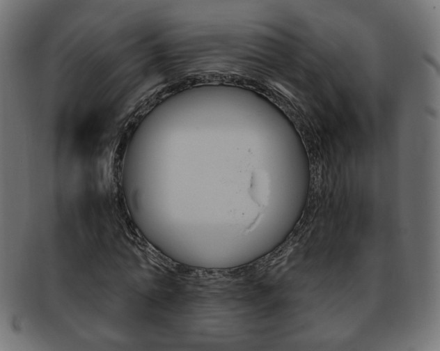 X0000094080774200710190917