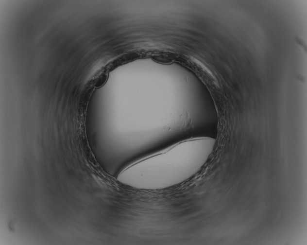 X0000094080775200710190917