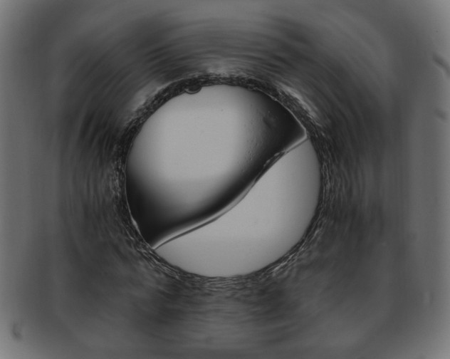 X0000094080776200710190917