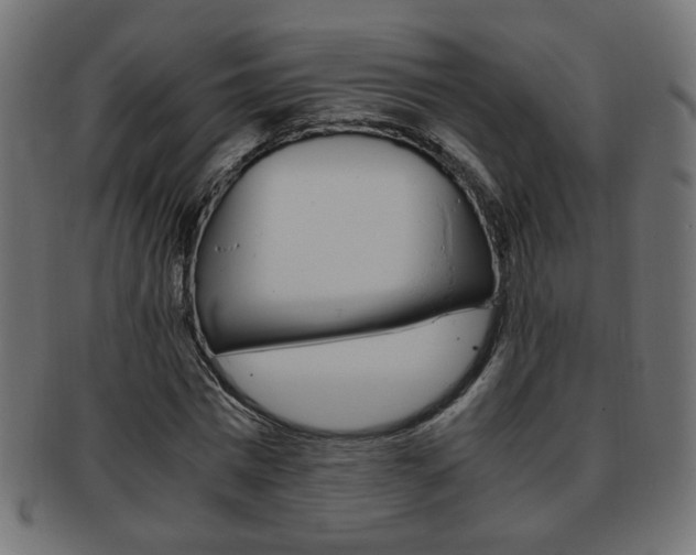 X0000094080777200710190917