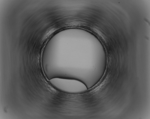 X0000094080778200710190917