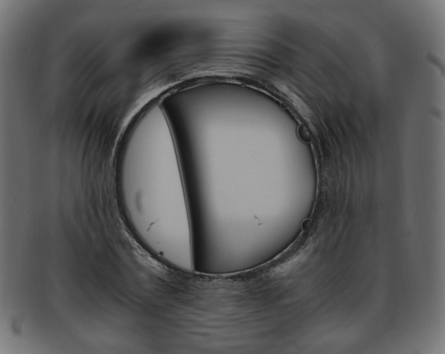 X0000094080779200710190917