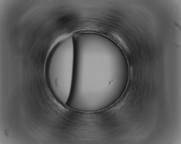 X0000094080780200710190917