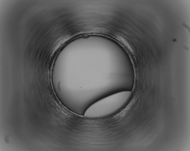 X0000094080781200710190917