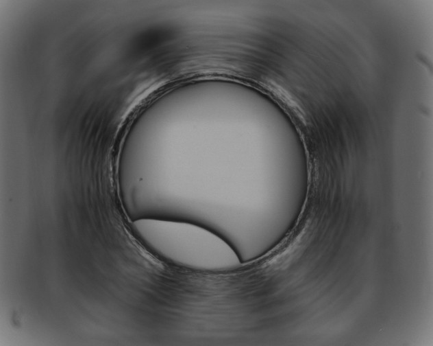 X0000094080782200710190917