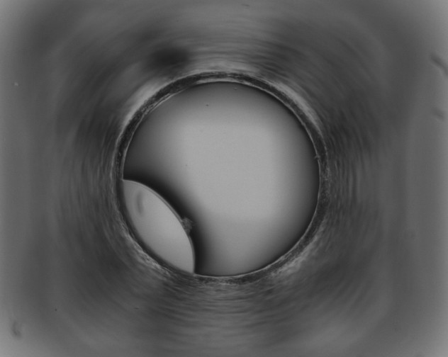 X0000094080783200710190917