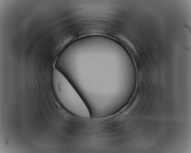 X0000094080785200710190917
