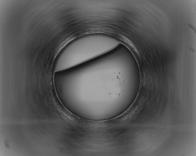 X0000094080786200710190917