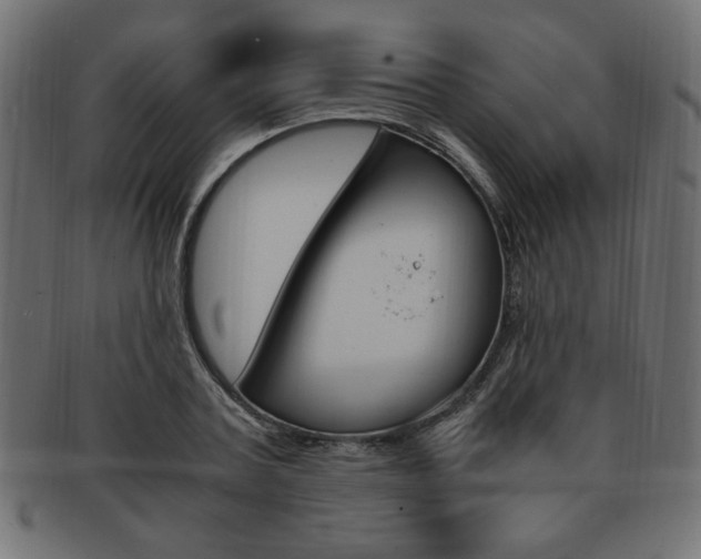 X0000094080787200710190916