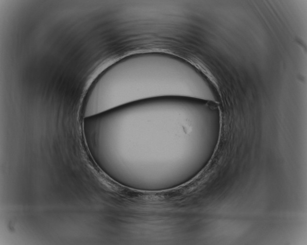 X0000094080789200710190916