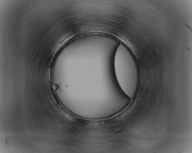 X0000094080790200710190916