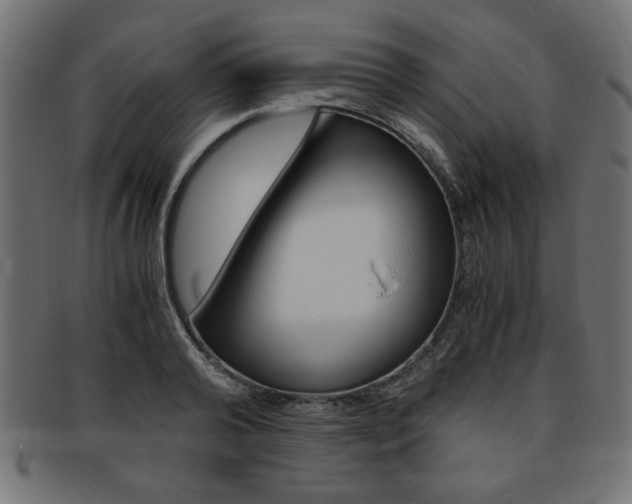 X0000094080792200710190916