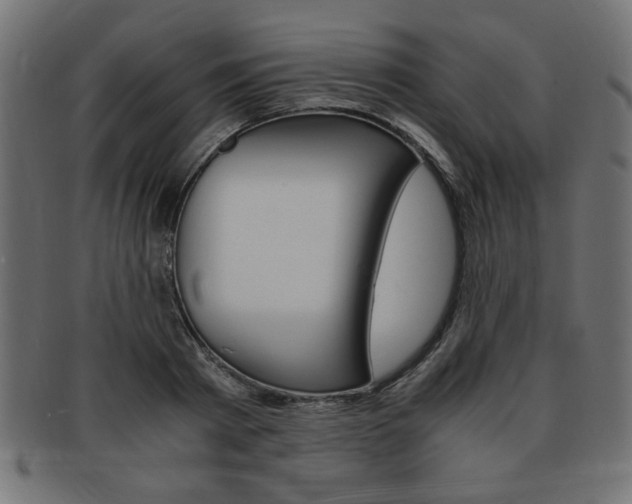 X0000094080793200710190916