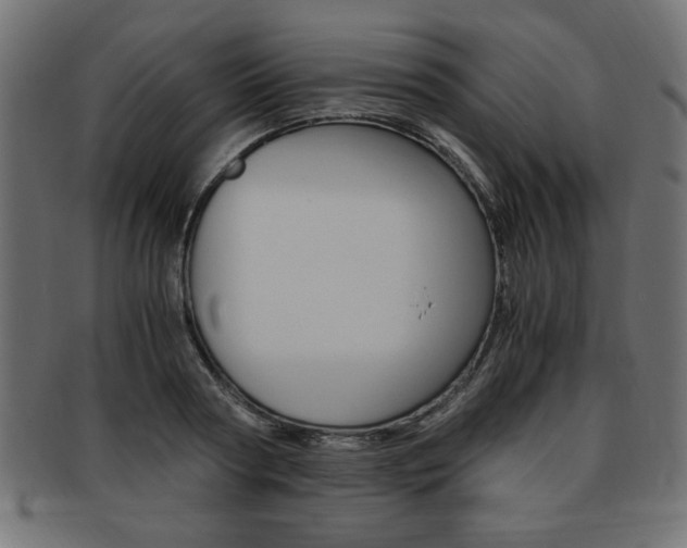 X0000094080794200710190916