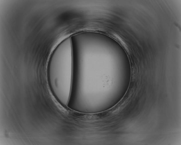 X0000094080795200710190916