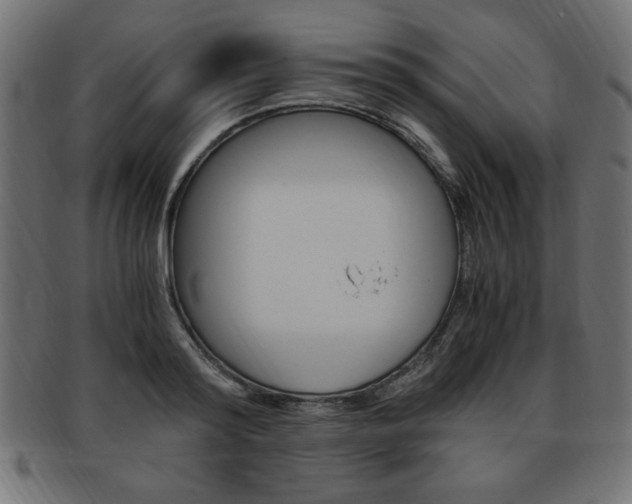 X0000094080796200710190916