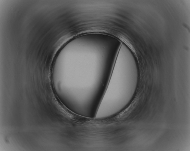 X0000094080797200710190916